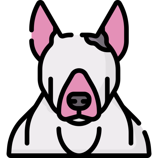 Bull terrier Special Lineal color icon
