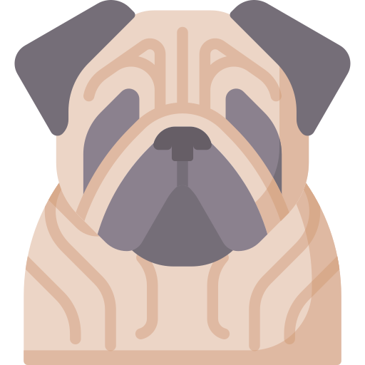 mops Special Flat icon