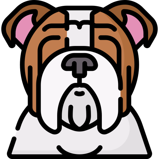 bulldogge Special Lineal color icon