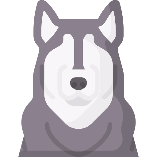 malamute de alaska Special Flat icono