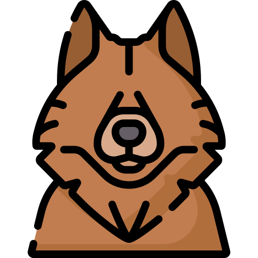 Finnish spitz Special Lineal color icon