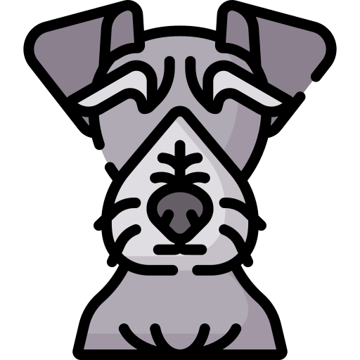 terrier bohemio Special Lineal color icono