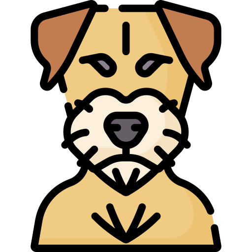 border terrier Special Lineal color icon