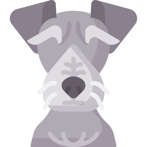 böhmischer terrier Special Flat icon