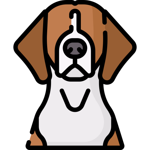 amerikanischer foxhound Special Lineal color icon