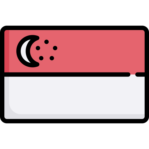 Singapore Special Lineal color icon