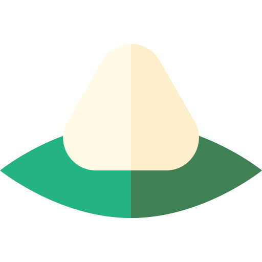 Zongzi Basic Straight Flat icon