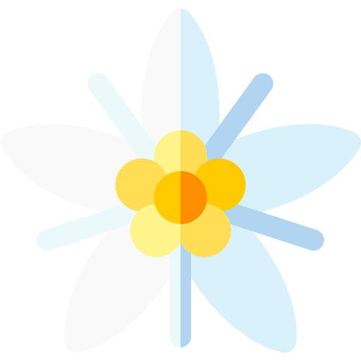 crassula ovata Basic Rounded Flat icono