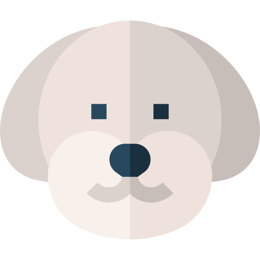 Bichon frise Basic Straight Flat icon