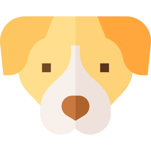 pitbull Basic Straight Flat icona