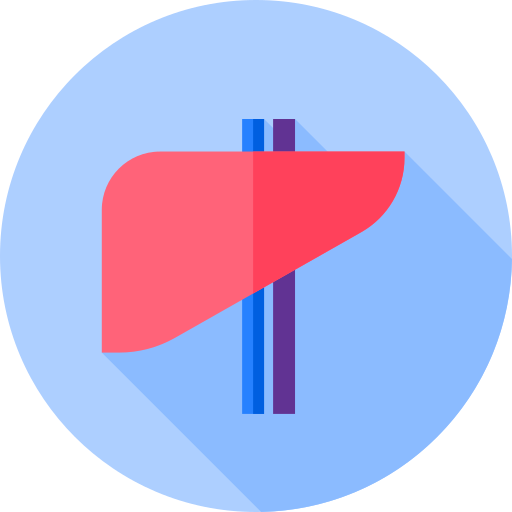 Liver Flat Circular Flat icon