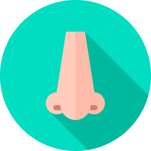 鼻 Flat Circular Flat icon