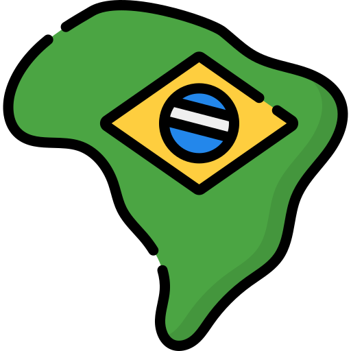 Brazil Special Lineal color icon