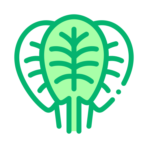 Spinach Generic Outline Color icon