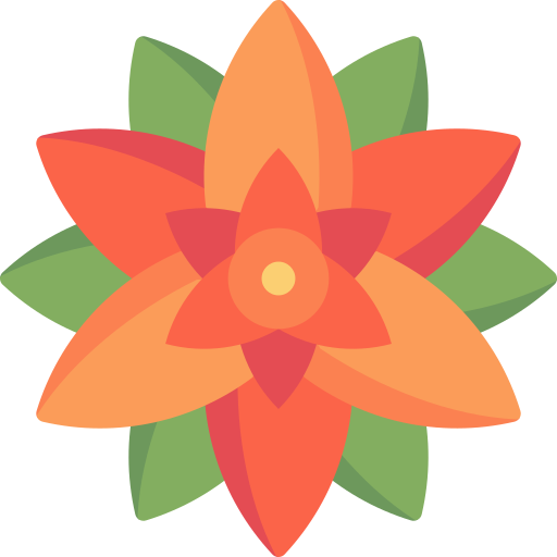 Bromeliad Special Flat icon