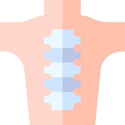 spina dorsale Basic Straight Flat icona