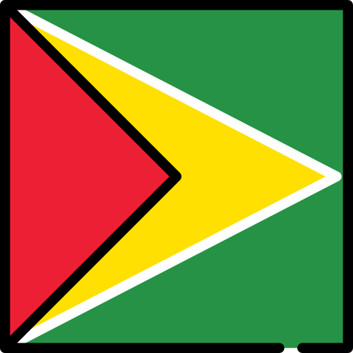 guyana Flags Square icon