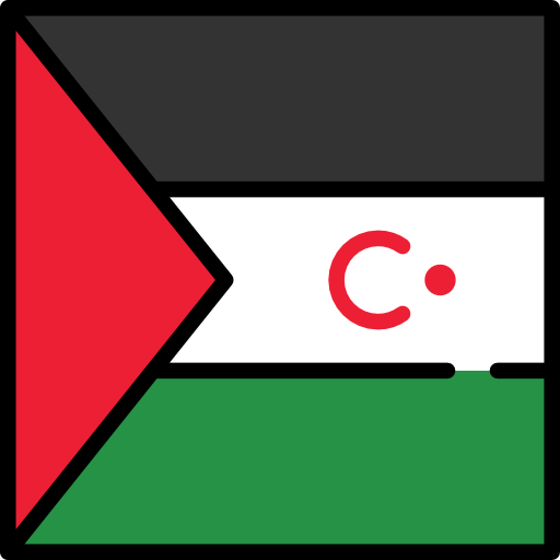 repubblica democratica araba sahrawi Flags Square icona