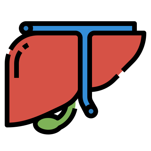 肝臓 Aphiradee (monkik) Lineal Color icon