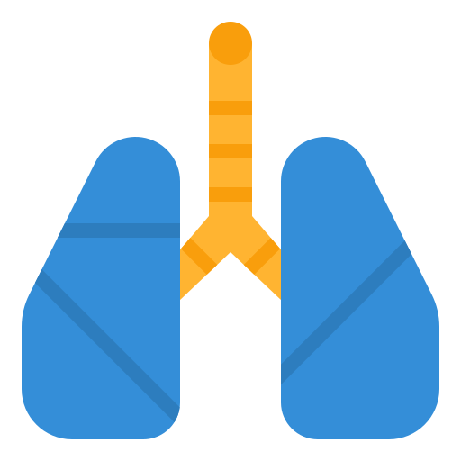 Lungs Aphiradee (monkik) Flat icon