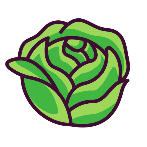 Cabbage Generic Outline Color icon