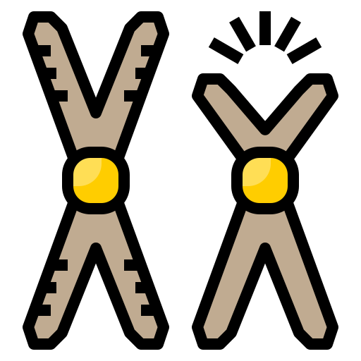 chromosoom Phatplus Lineal Color icoon