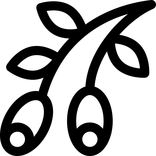 oliva Basic Rounded Lineal Ícone