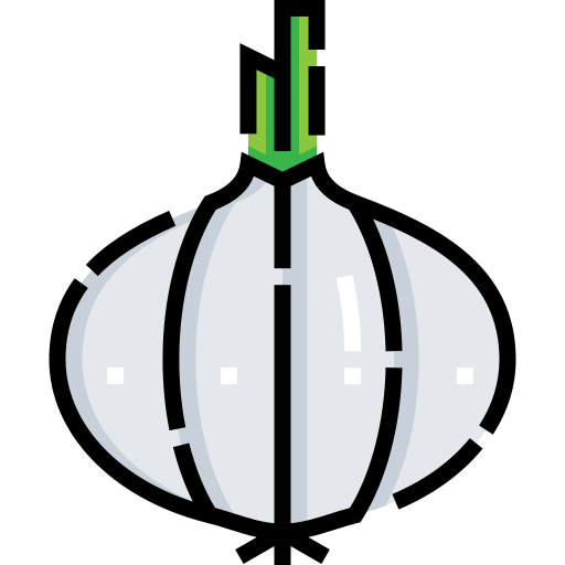 Onion Detailed Straight Lineal color icon
