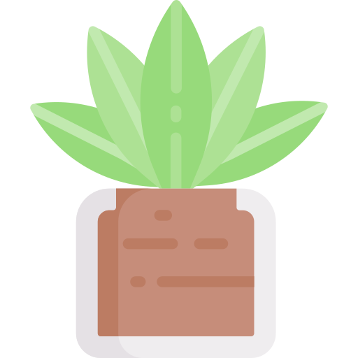 kaktus Special Flat icon