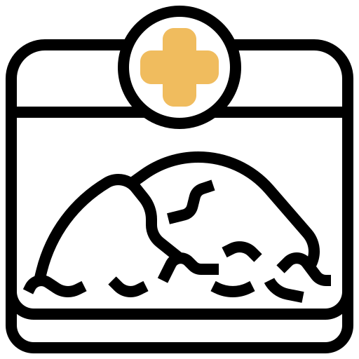 Organ transport box Meticulous Yellow shadow icon