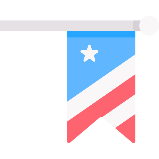 미국 Special Flat icon
