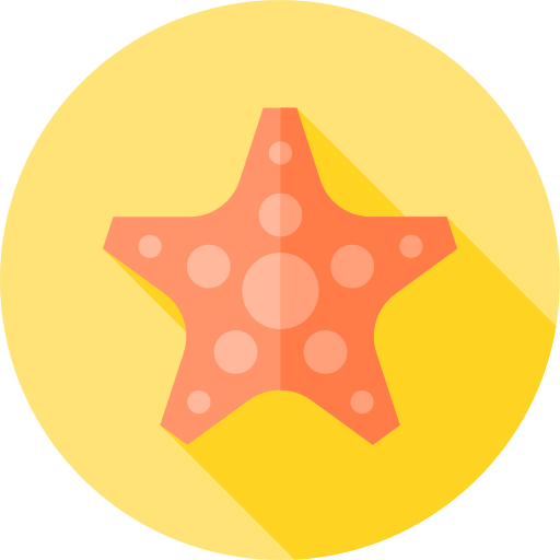 seestern Flat Circular Flat icon