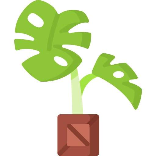 Monstera Special Flat icon