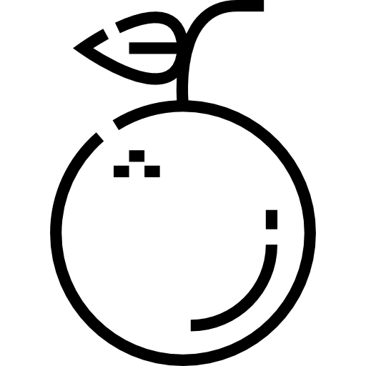 naranja Detailed Straight Lineal icono