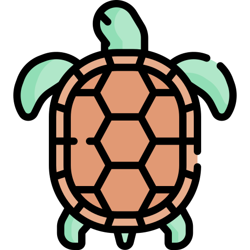 Turtle Special Lineal color icon