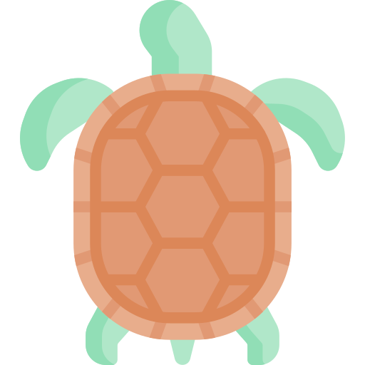 tartaruga Special Flat icona