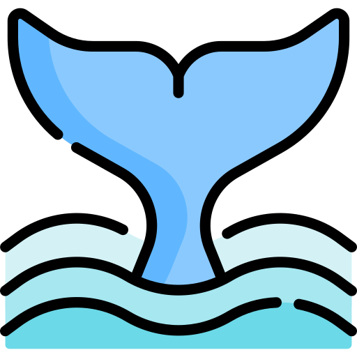 Whale Special Lineal color icon