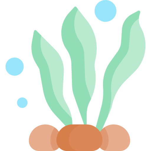 Seaweed Special Flat icon