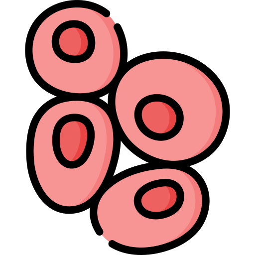 des globules rouges Special Lineal color Icône