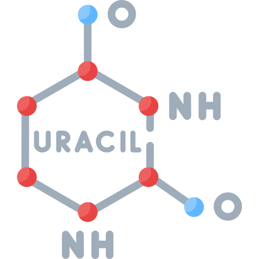 Uracil Special Flat icon
