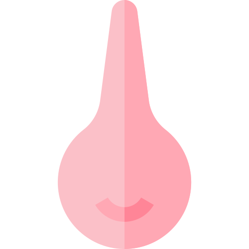 Pear Enema Basic Straight Flat icon