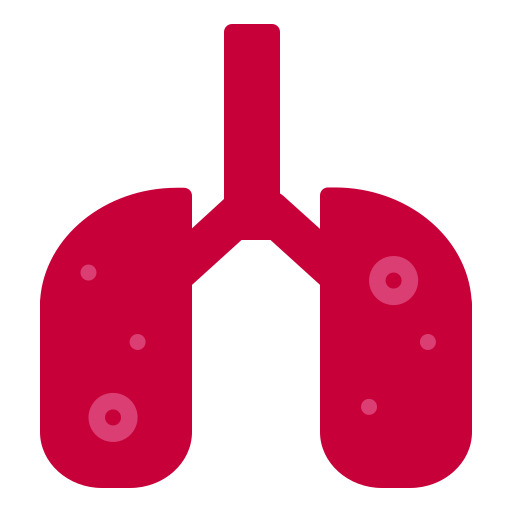 Lungs Generic Flat icon