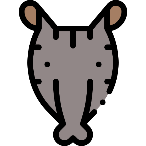 tapir Detailed Rounded Lineal color ikona