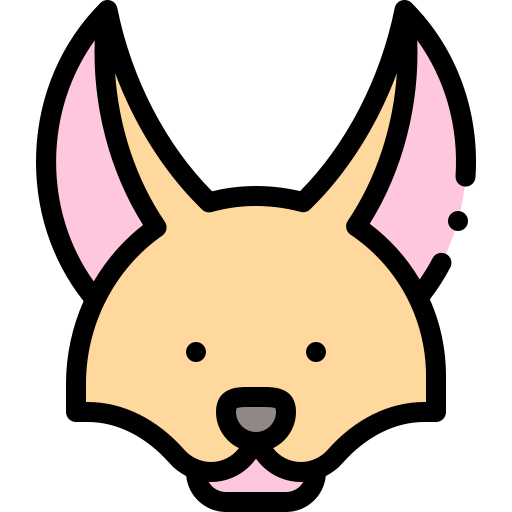 fennec Detailed Rounded Lineal color icono