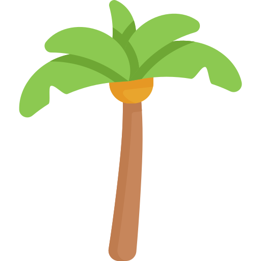 palma Special Flat icona