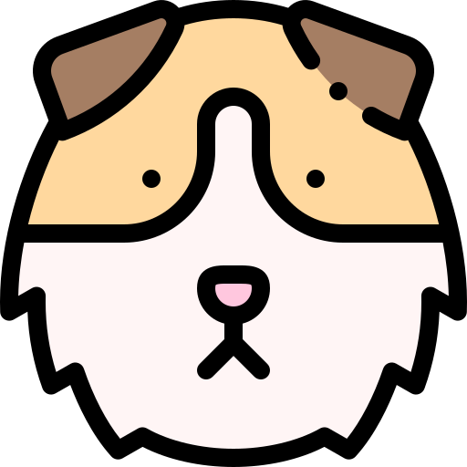 meerschweinchen Detailed Rounded Lineal color icon