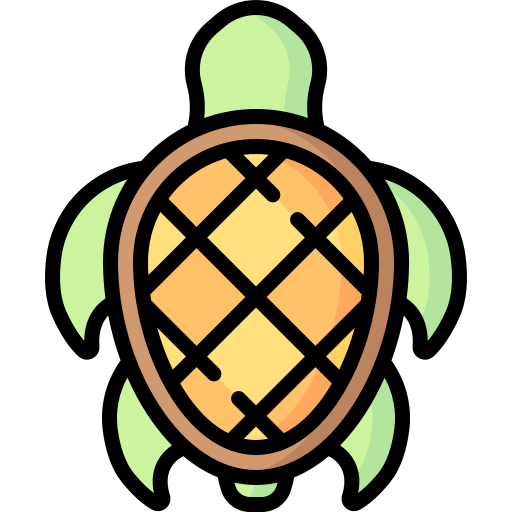 tartaruga Special Lineal color Ícone
