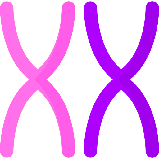 chromosome Special Flat Icône