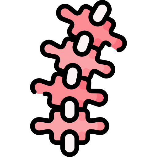 rachiocampsis Special Lineal color icon