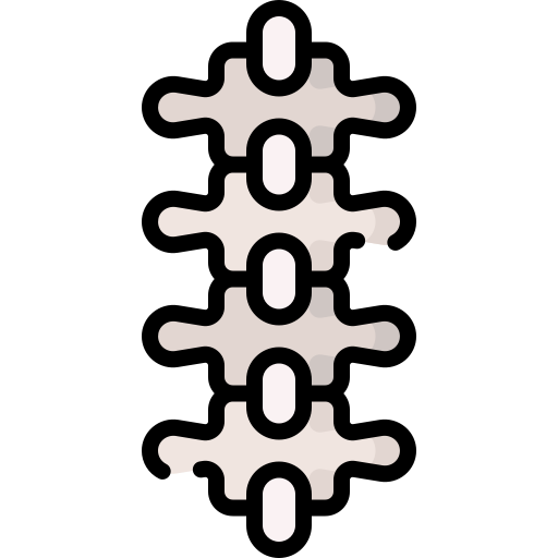 脊椎 Special Lineal color icon